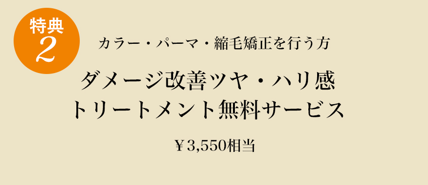 ダメージ改善ツヤ・ハリ感トリートメント無料サービス